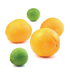 Browse Citrus