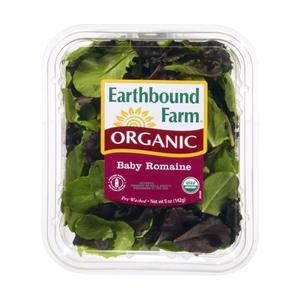 Earthbound Organic Baby Romaine
