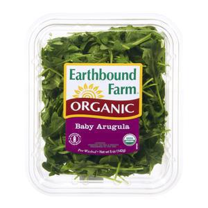 Earthbound Organic Baby Arugula