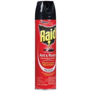 Raid Ant & Roach Killer - Outdoor Fresh