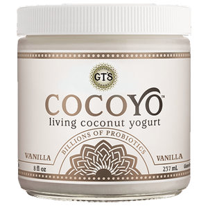 GTs Cocoyo Living Coconut Yogurt - Vanilla