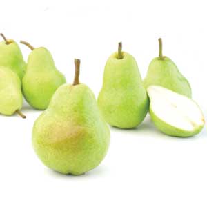 Pears - Bartlett