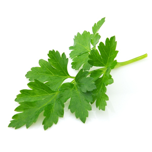 Parsley Flat Leaf - Fresh