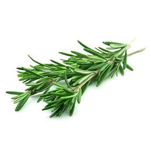 Rosemary - Fresh Organic