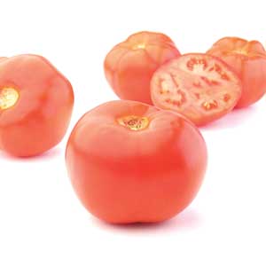 Tomato - Large